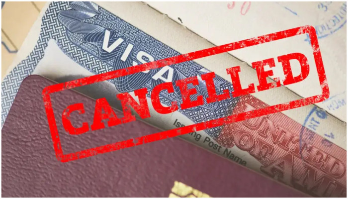 ৯ মাসে ৮০ হাজার ভিসা বাতিল করেছে আমেরিকা!